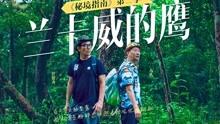 逃离黑白系房屋
