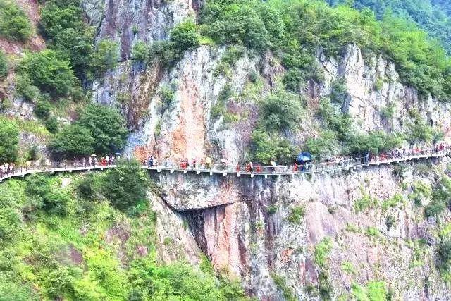 缤纷水果茶无敌版