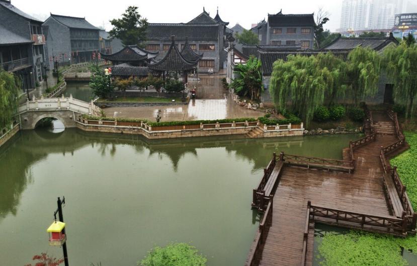 完美的收藏品
