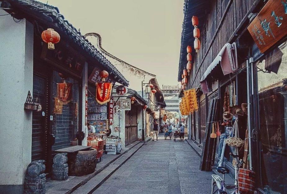 饥饿的松鼠救援